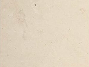 Thala Beige Limestone 12x24 Honed